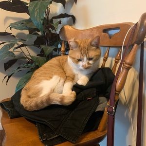 Meet your Posher, Paige